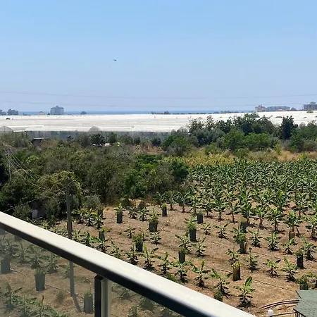 Luxury F13 아파트 알란야